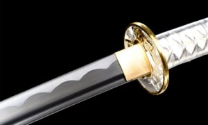 Bushin Katana Sword (武心) – Martial Spirit