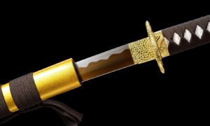 Ōgonryū Katana Sword (黄金龍) – Golden Dragon